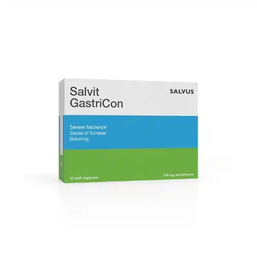 Salvit GastriCon 240 mg, 15 kapsula - slika 1